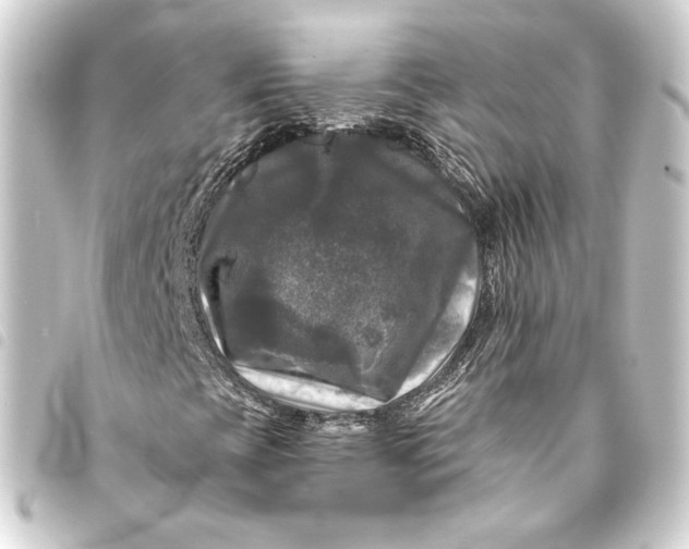 X0000093741393200710301055