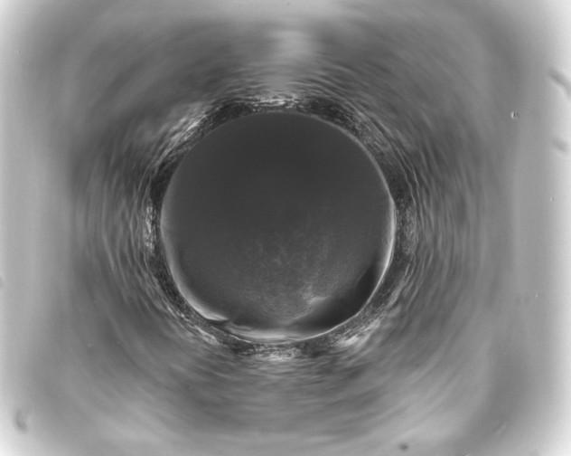 X0000093741394200710301055