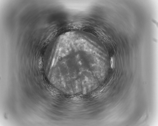 X0000093741395200710301055