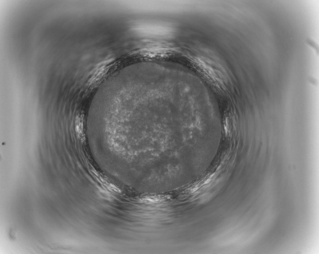 X0000093741396200710301055