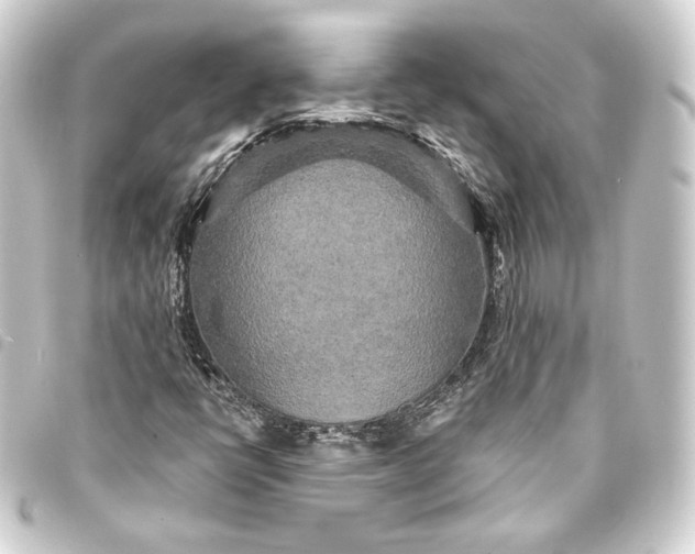 X0000093741398200710301055