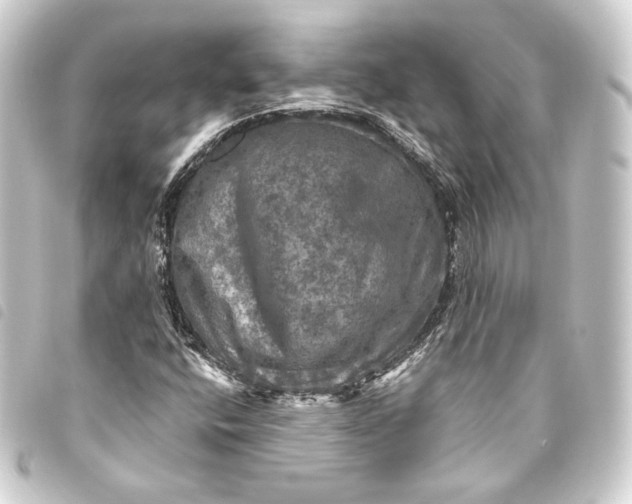 X0000093741400200710301055