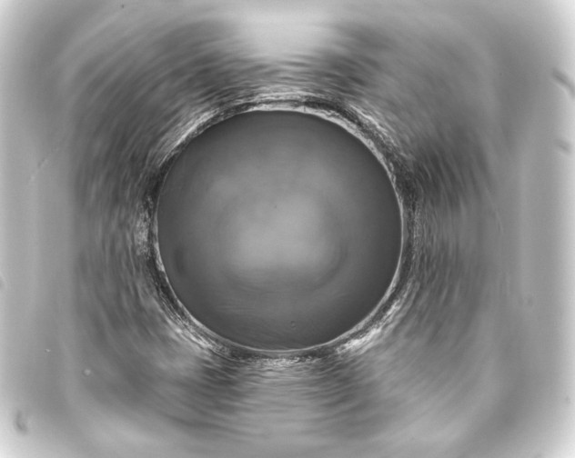 X0000093741401200710301055