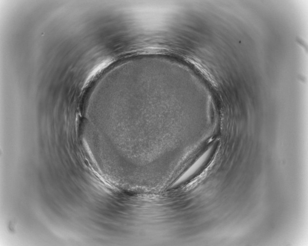 X0000093741402200710301055