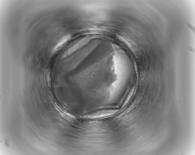 X0000093741403200710301055