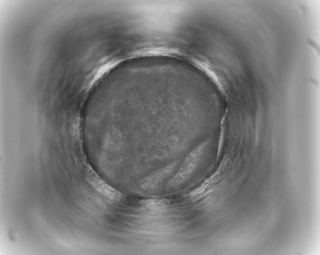 X0000093741404200710301055