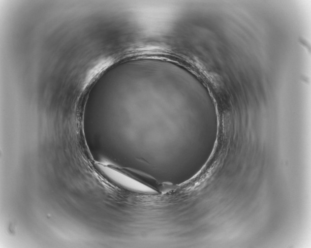 X0000093741405200710301055