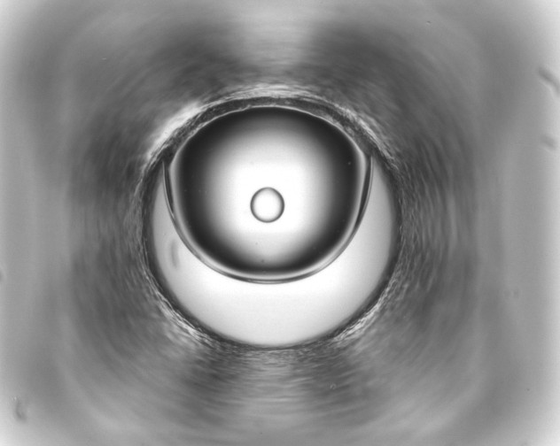 X0000093741406200710301055