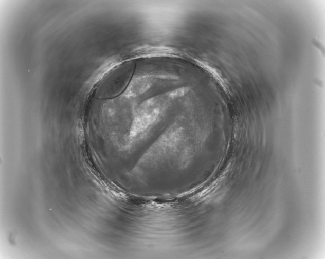 X0000093741407200710301055