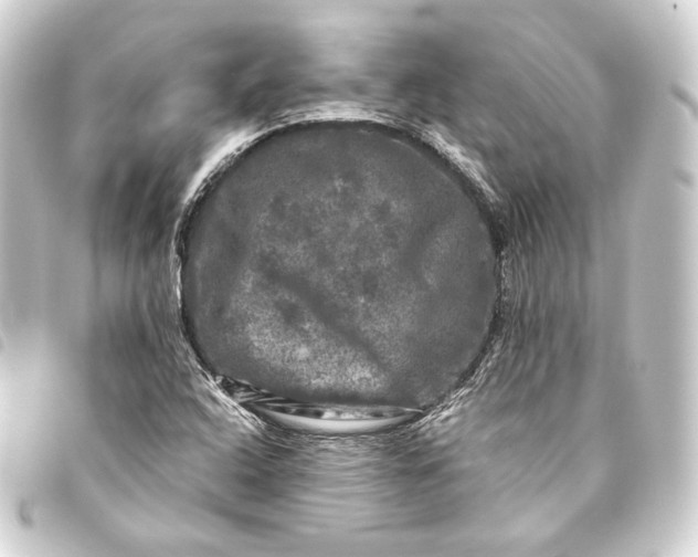 X0000093741408200710301055