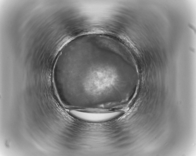 X0000093741409200710301055