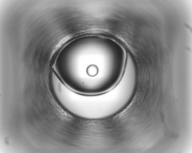 X0000093741410200710301055