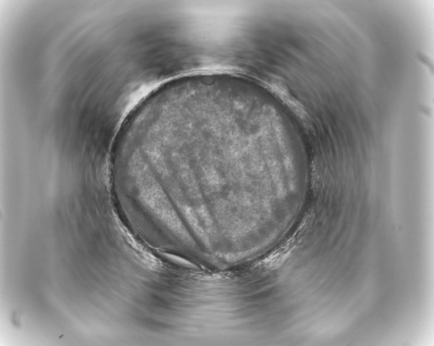 X0000093741412200710301055