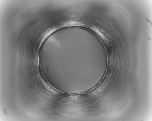 X0000093741413200710301055