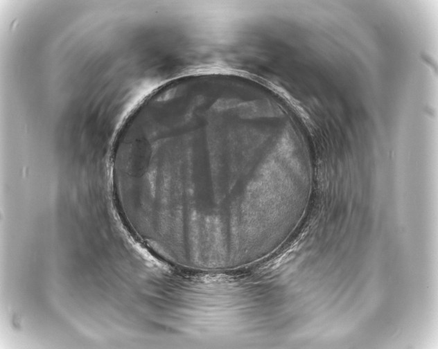 X0000093741416200710301055