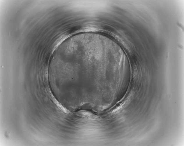 X0000093741417200710301055