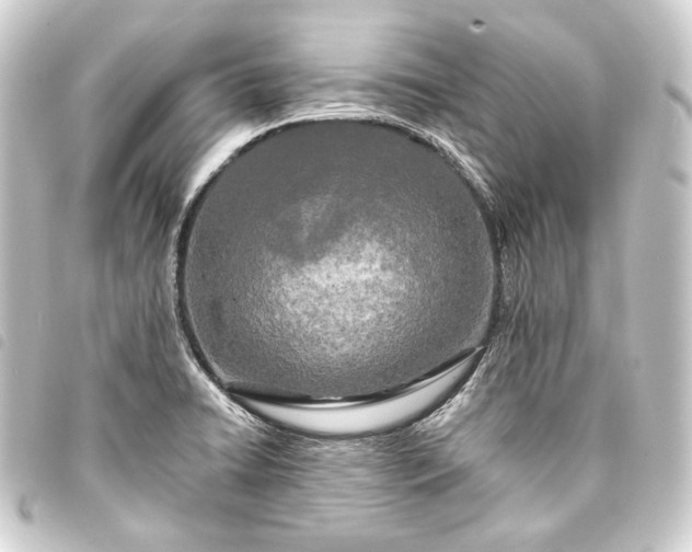 X0000093741422200710301055