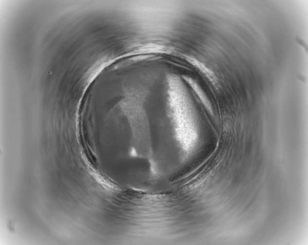 X0000093741423200710301055