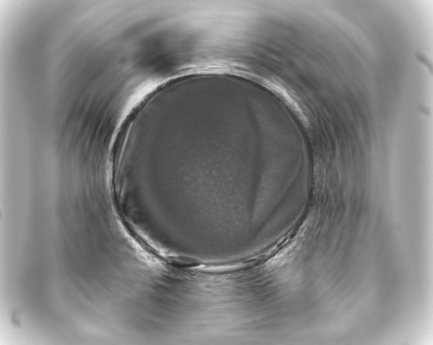 X0000093741424200710301055