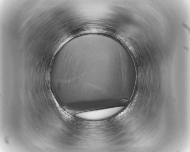 X0000093741425200710301055