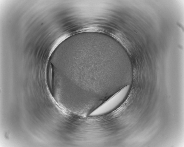 X0000093741426200710301055