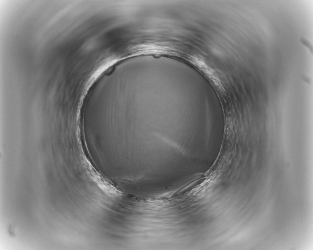 X0000093741427200710301055