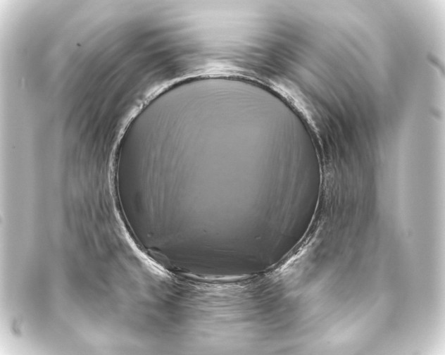 X0000093741429200710301055