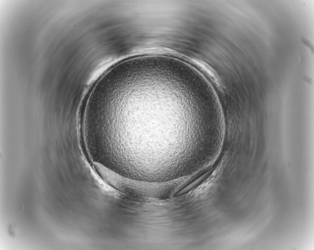 X0000093741430200710301055