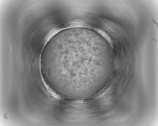 X0000093741431200710301055