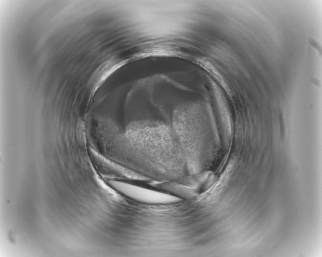 X0000093741433200710301055