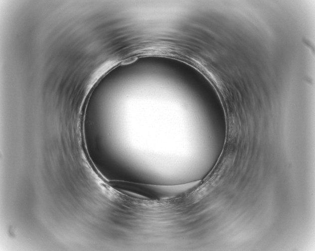 X0000093741434200710301055