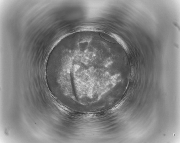 X0000093741435200710301055