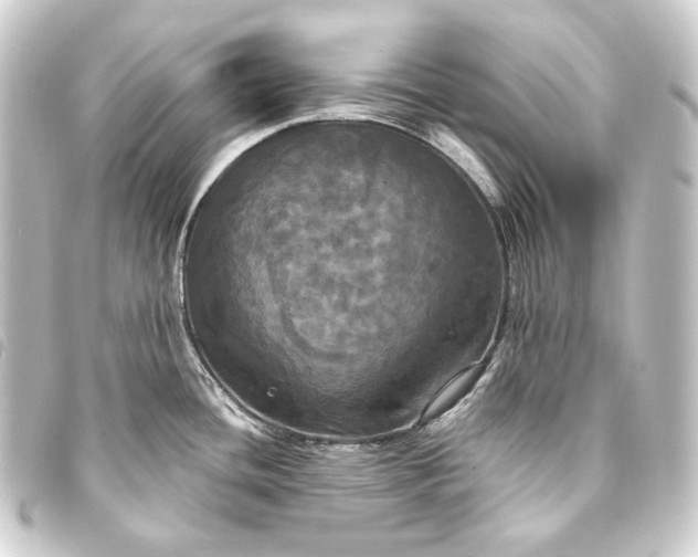 X0000093741436200710301055