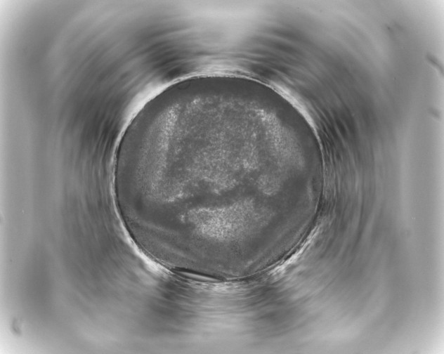 X0000093741437200710301055