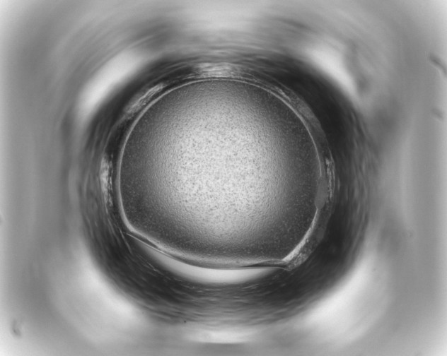 X0000093741438200710301055