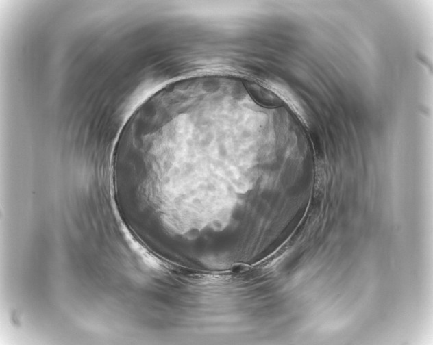 X0000093741439200710301055