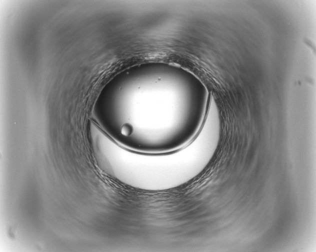 X0000093741441200710301055