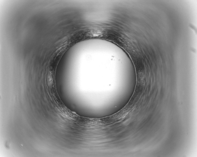 X0000093741442200710301055