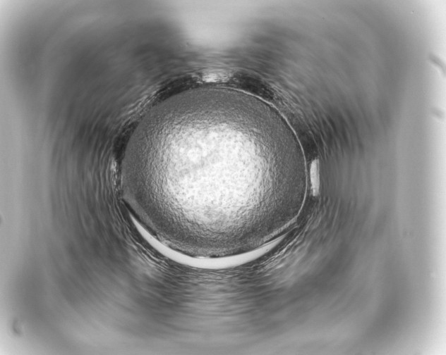 X0000093741443200710301055