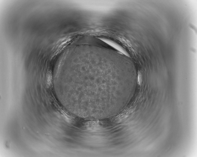 X0000093741444200710301055