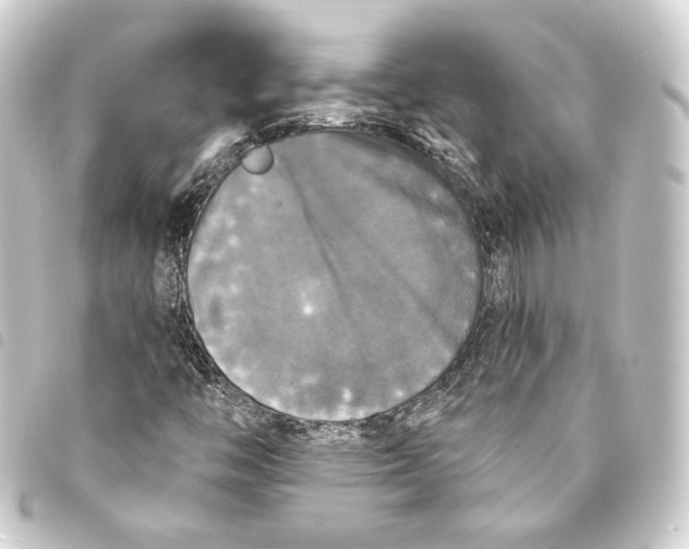 X0000093741446200710301055