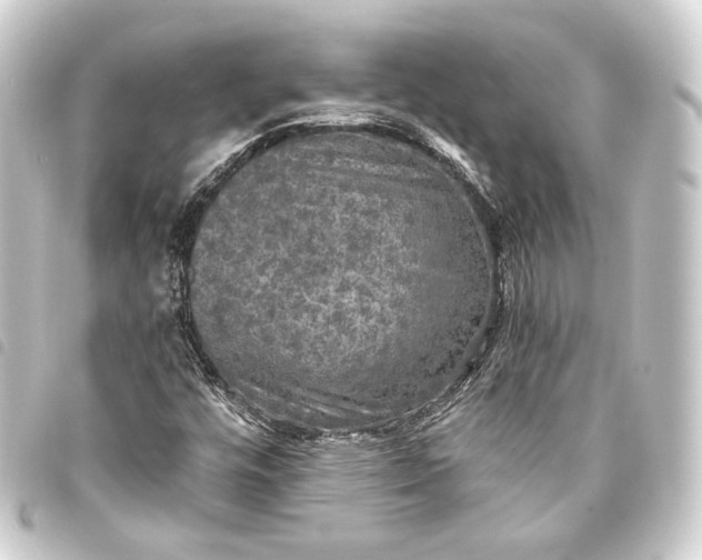 X0000093741448200710301054