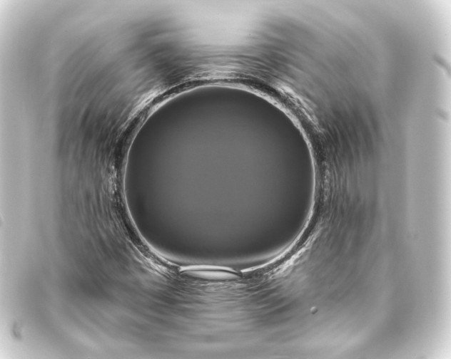 X0000093741449200710301054