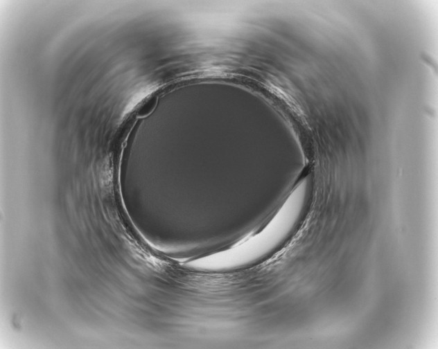 X0000093741450200710301054