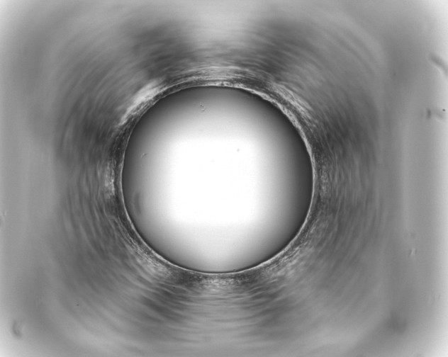 X0000093741451200710301054