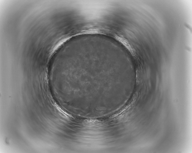 X0000093741452200710301054