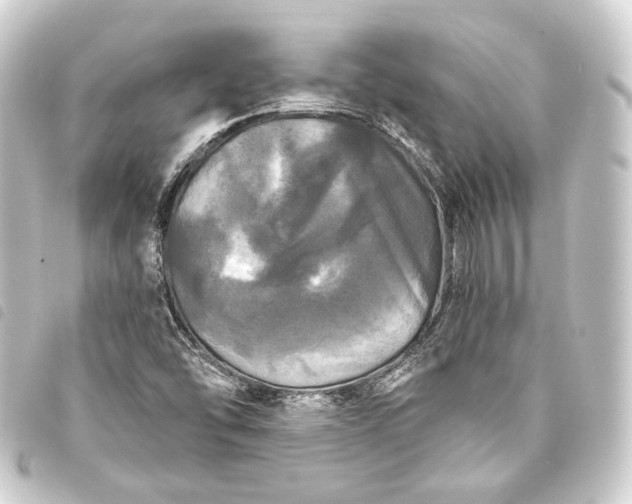 X0000093741454200710301054