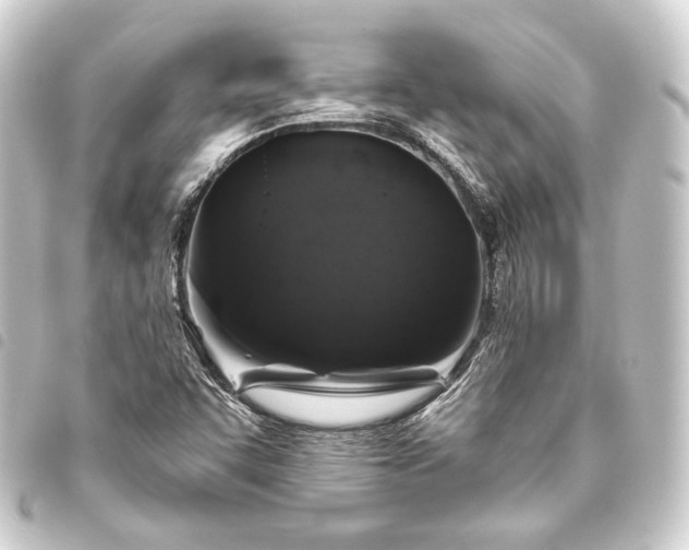 X0000093741455200710301054