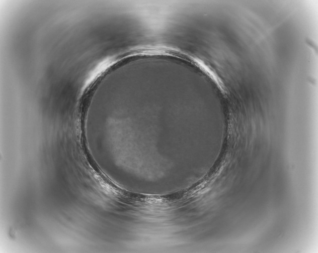 X0000093741456200710301054