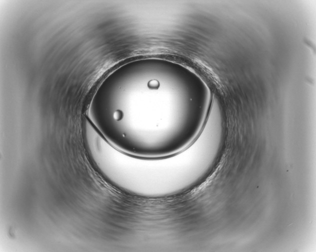 X0000093741457200710301054